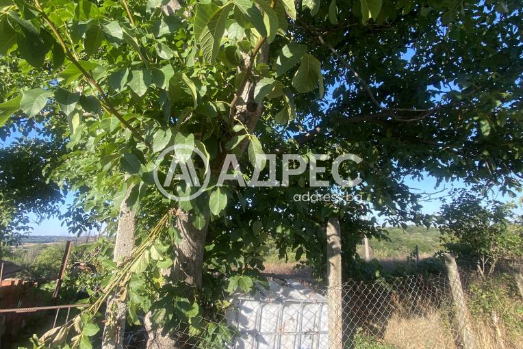 Парцел/Терен, Стамболийски, 666161, Снимка 3