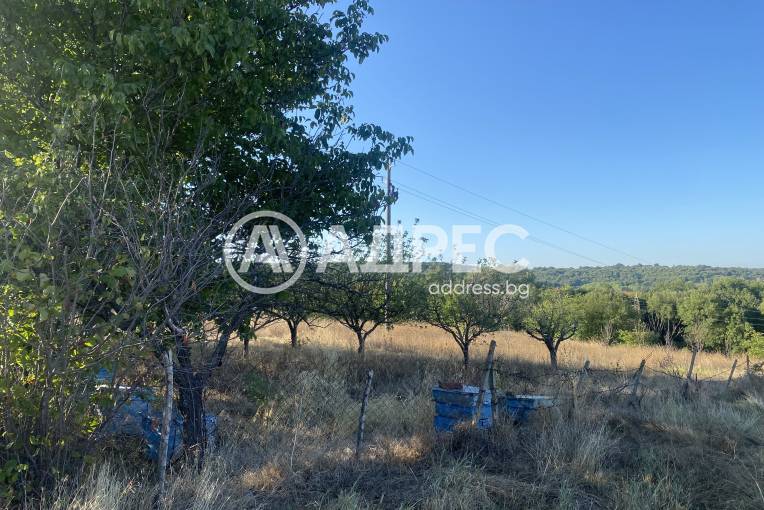 Парцел/Терен, Стамболийски, 666161, Снимка 4