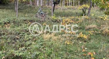 Парцел/Терен, Паволче, 673167, Снимка 5