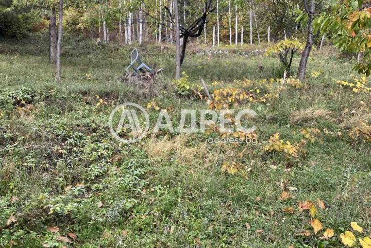 Парцел/Терен, Паволче, 673167, Снимка 5