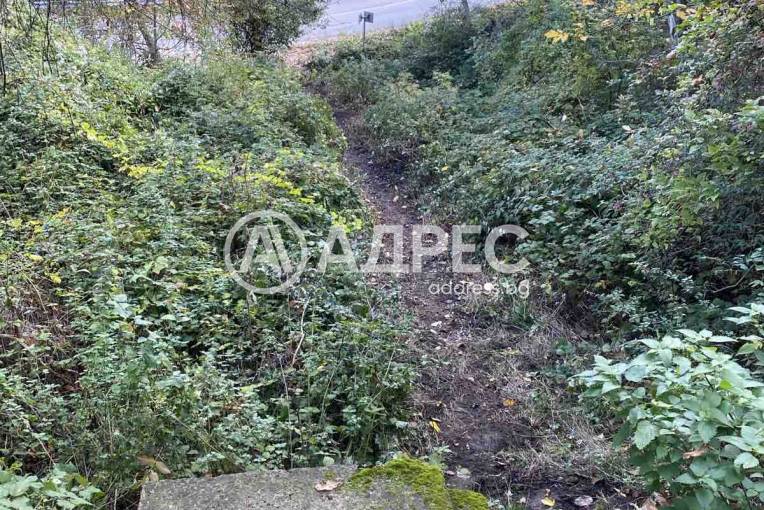 Парцел/Терен, Паволче, 673167, Снимка 7