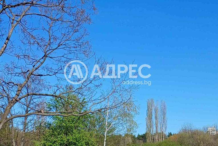 Многостаен апартамент, София, Лозенец, 650177, Снимка 3