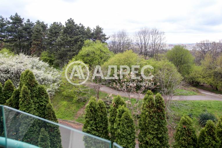 Многостаен апартамент, София, Лозенец, 650177, Снимка 6