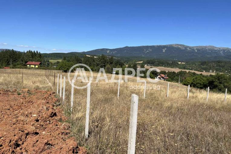 Парцел/Терен, Студена, 651186, Снимка 1