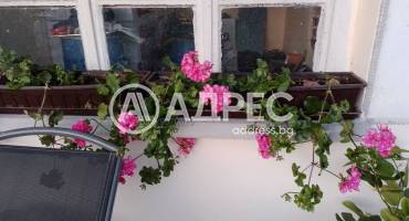 Парцел/Терен, Окоп, 641197, Снимка 3