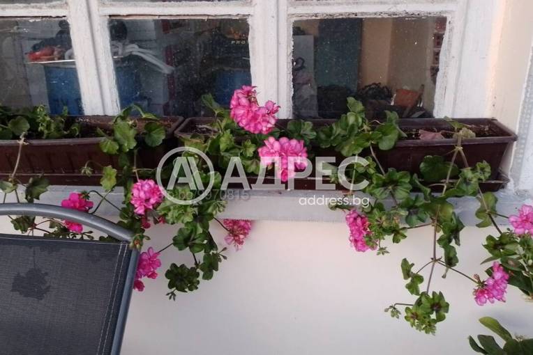 Парцел/Терен, Окоп, 641197, Снимка 3