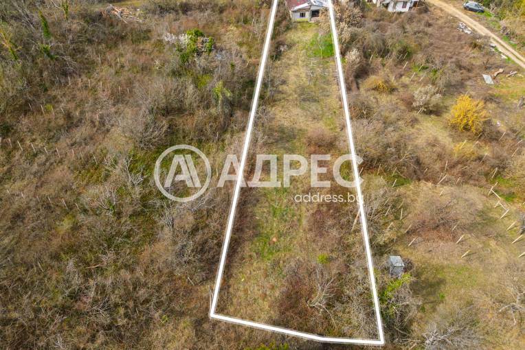 Къща/Вила, Плевен, 9-ти квартал, 649205, Снимка 3