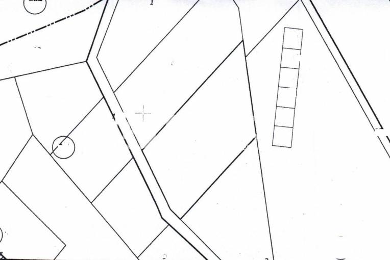 Земеделска земя, Благоевград, Еленово, 656205, Снимка 1