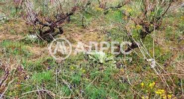 Парцел/Терен, Благоевград, Баларбаши, 621206, Снимка 3