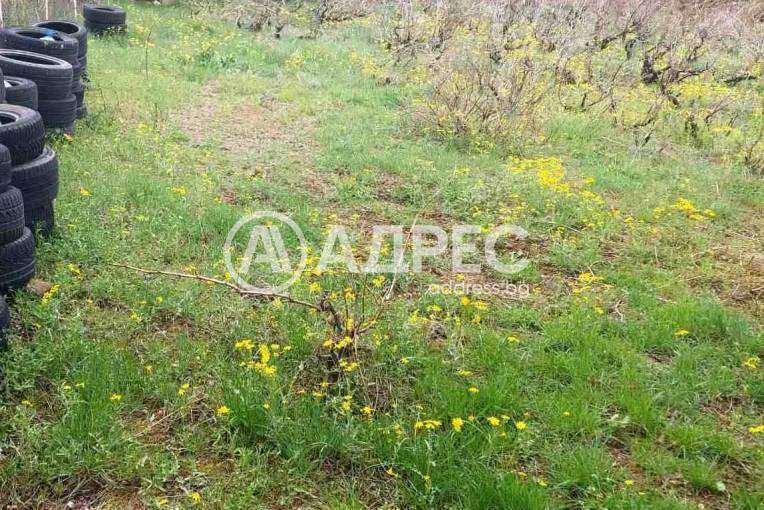 Парцел/Терен, Благоевград, Баларбаши, 621206, Снимка 2