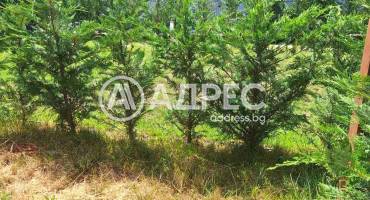 Тристаен апартамент, Варна, к.к. Св.Св. Константин и Елена, 665207, Снимка 3