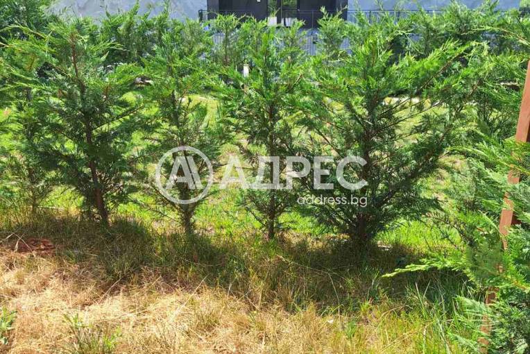 Тристаен апартамент, Варна, к.к. Св.Св. Константин и Елена, 665207, Снимка 3