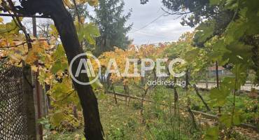 Къща/Вила, Брестовец, 660208, Снимка 6