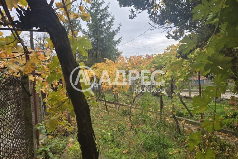 Къща/Вила, Брестовец, 660208, Снимка 6