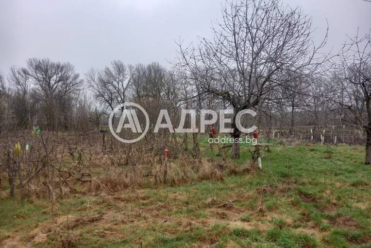 Къща/Вила, Гурково, 649211, Снимка 11