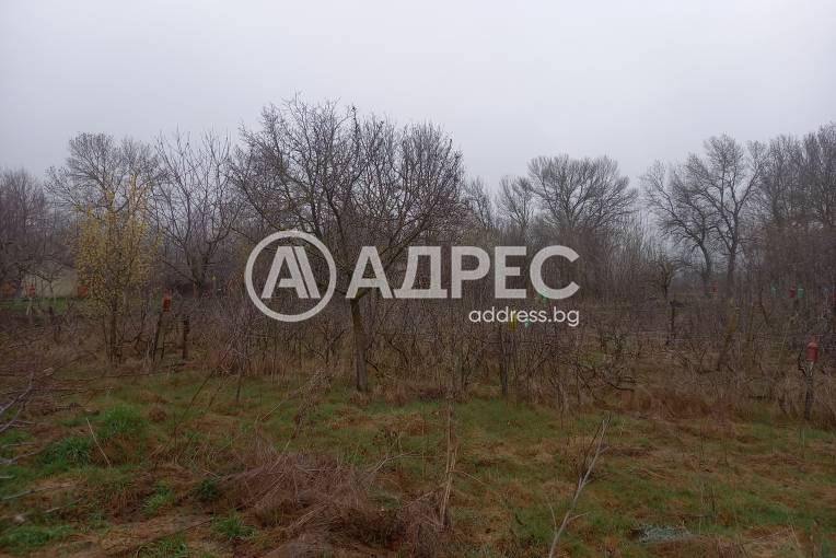 Къща/Вила, Гурково, 649211, Снимка 12