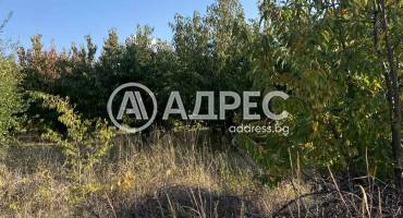 Земеделска земя, Брестник, 672214, Снимка 1