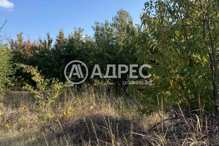 Земеделска земя, Брестник, 672214, Снимка 1