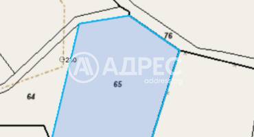 Земеделска земя, Драшкова поляна, 677217, Снимка 1