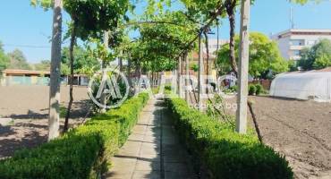 Къща/Вила, Стралджа, 661231, Снимка 4