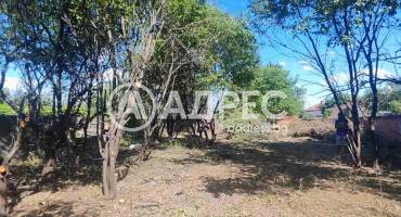 Парцел/Терен, Кривина, 664232, Снимка 3