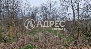 Парцел/Терен, Калчево, 646239, Снимка 2