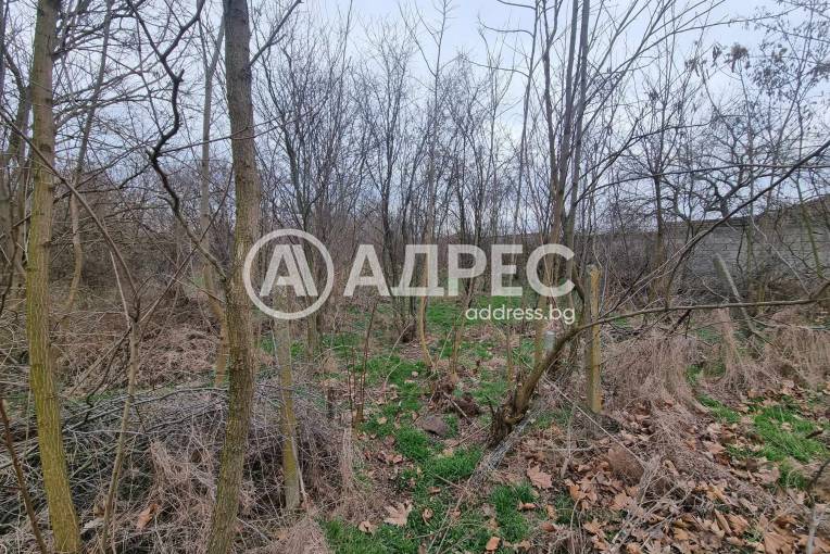 Парцел/Терен, Калчево, 646239, Снимка 1