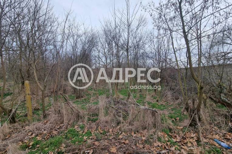 Парцел/Терен, Калчево, 646239, Снимка 2