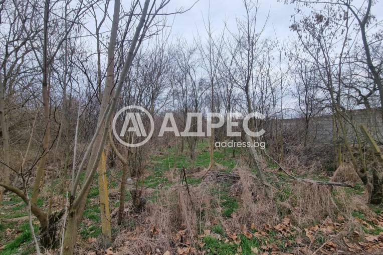 Парцел/Терен, Калчево, 646239, Снимка 3