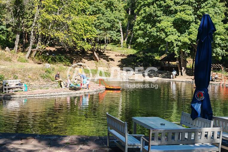 Къща/Вила, София, Бистрица, 669239, Снимка 4