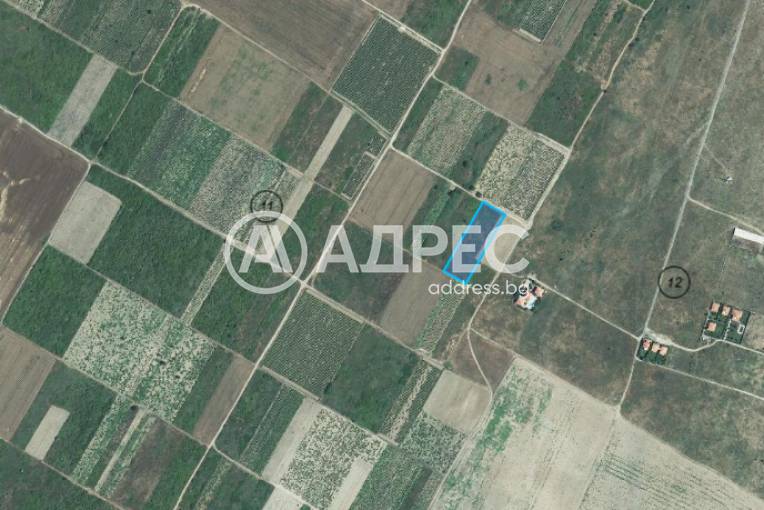 Парцел/Терен, Кошарица, 642245, Снимка 3