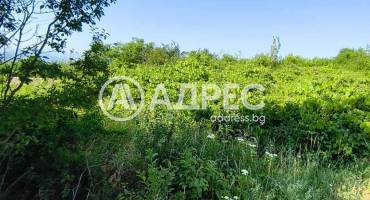 Парцел/Терен, Севлиево, Хоталич, 659250, Снимка 3