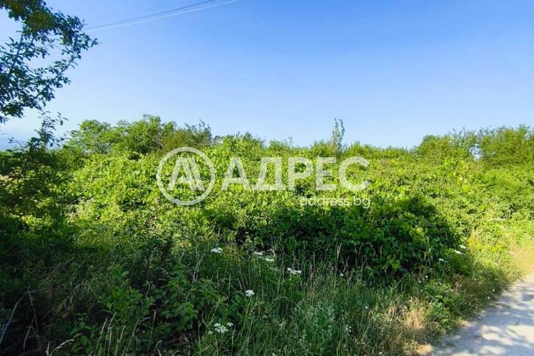 Парцел/Терен, Севлиево, Хоталич, 659250, Снимка 1