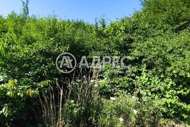 Парцел/Терен, Севлиево, Хоталич, 659250, Снимка 2