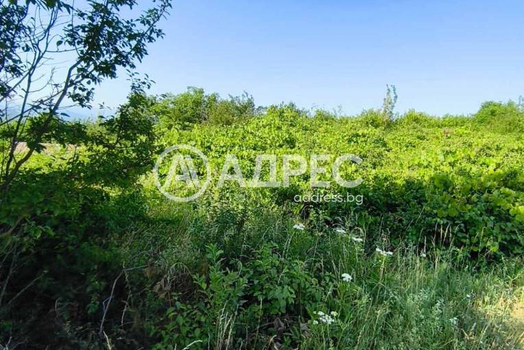 Парцел/Терен, Севлиево, Хоталич, 659250, Снимка 3