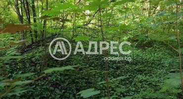Парцел/Терен, Смолян, Нов център, 701253, Снимка 5