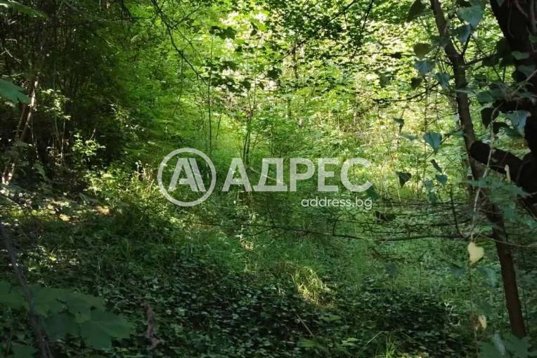 Парцел/Терен, Смолян, Нов център, 701253, Снимка 2