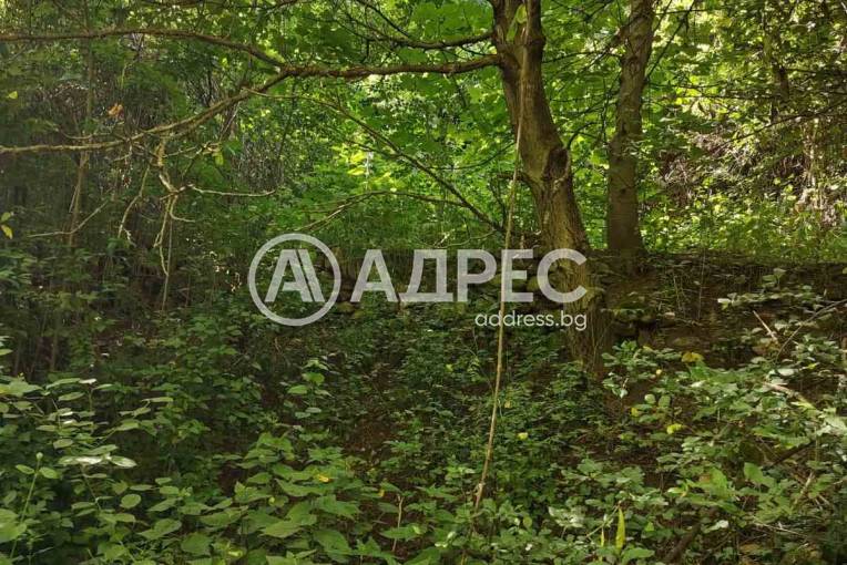 Парцел/Терен, Смолян, Нов център, 701253, Снимка 4