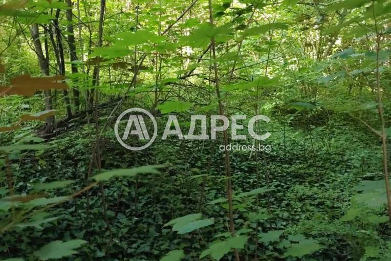 Парцел/Терен, Смолян, Нов център, 701253, Снимка 5
