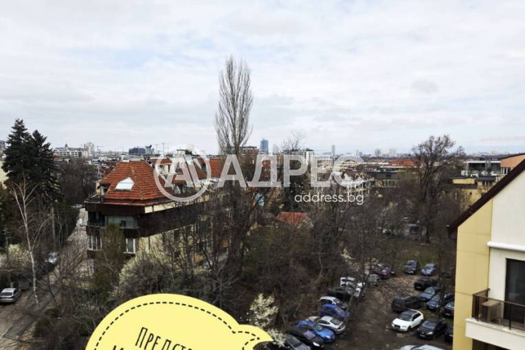 Многостаен апартамент, София, Витоша, 703255, Снимка 11