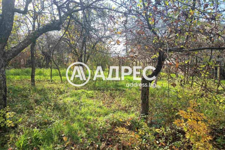 Къща/Вила, Сопот, 678261, Снимка 2