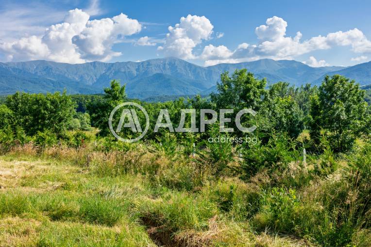 Парцел/Терен, Априлци, Ново село - Център, 700273, Снимка 6