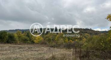 Парцел/Терен, Кокаляне, 672277, Снимка 6