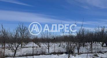 Стопанска сграда/Ферма, Ковачите, 647279, Снимка 6