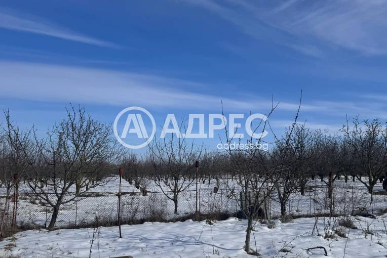 Стопанска сграда/Ферма, Ковачите, 647279, Снимка 6