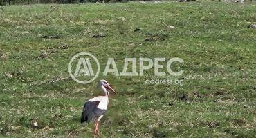 Къща/Вила, Говедарци, 688284, Снимка 22