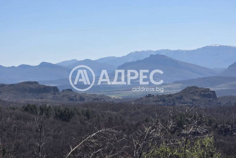 Парцел/Терен, Белоградчик, 650286, Снимка 5