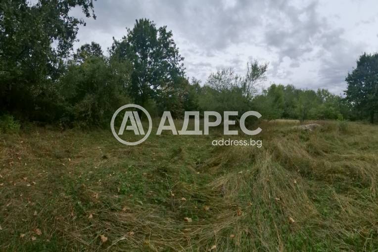 Къща/Вила, Борското, 671286, Снимка 1