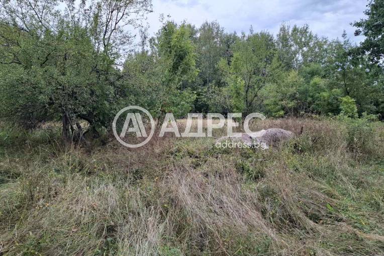 Къща/Вила, Борското, 671286, Снимка 2