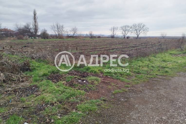 Къща/Вила, Зимница, 680287, Снимка 13